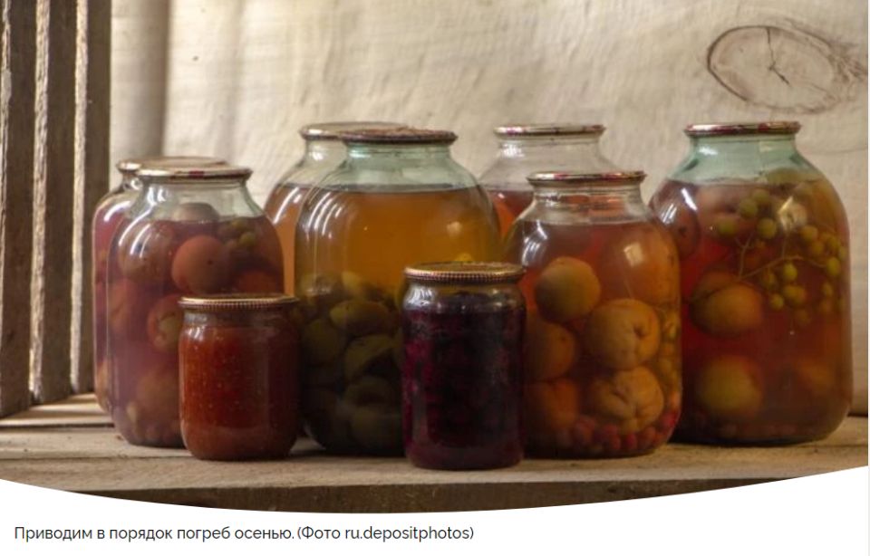 Как подготовить погреб к зиме: советы по уборке и дезинфекции