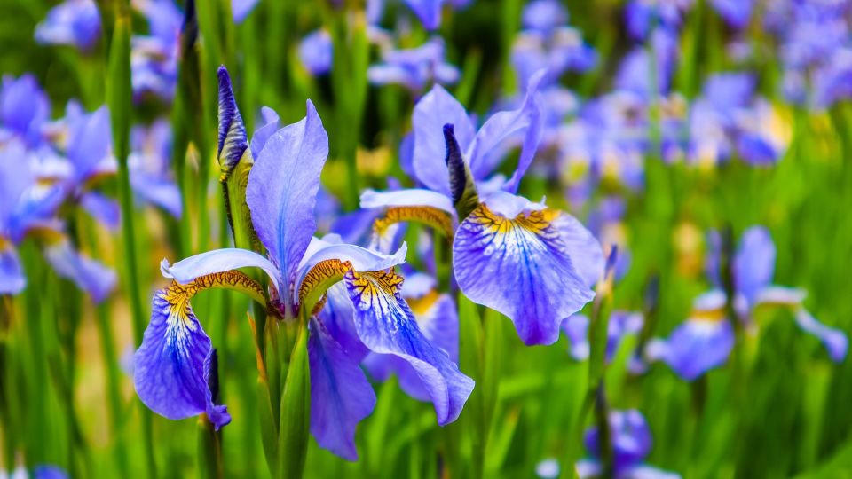 �������� � ������� ��� ���, ����� ��������: �� ��������� ��� ����� ��� ������