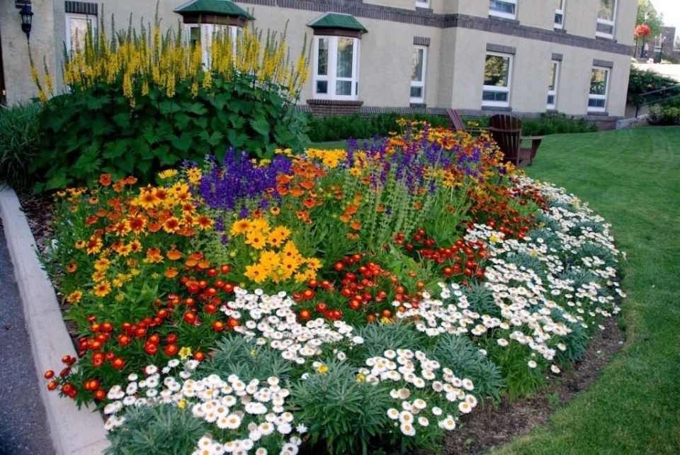 Цветы для тенистых уголков вашего сада