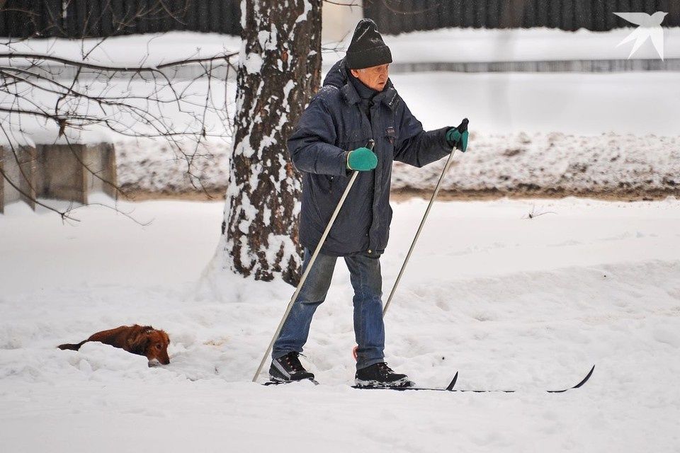 ������ ��� ����������� � ��������: �� ����������� ������� �� ��������� �����������