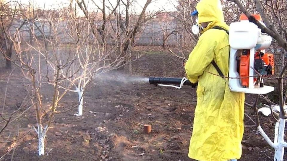 ��� ������� ��������� ���� ��������� �������� �������� �������� �� ����������