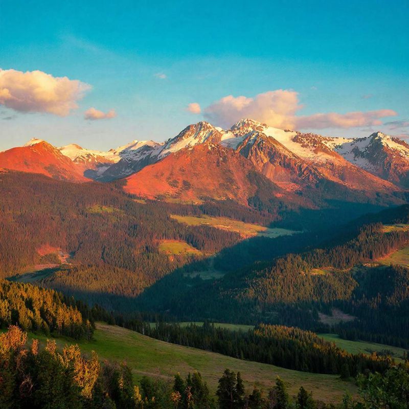 Новый закон о грузоперевозках: прозрачность и доступность на рынке