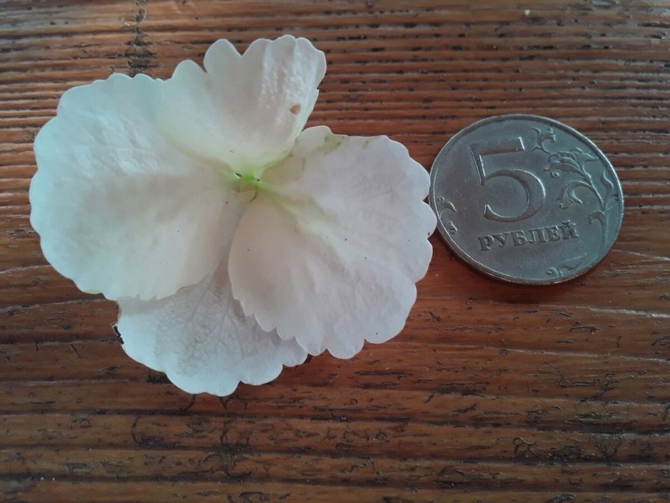 ��������� � ������������: ���������� ������� ���������� ��������