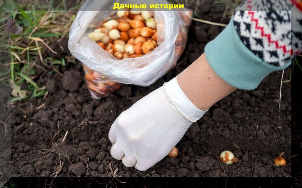 ������� �������� ����-�����: ��� �������� ������������ � ��������