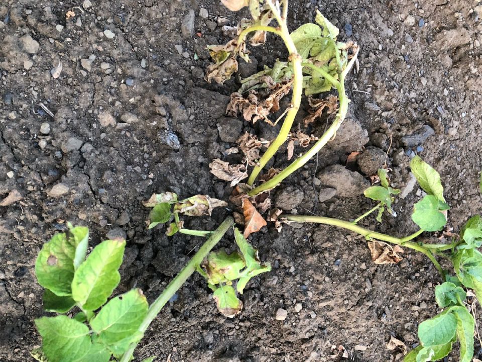 ��� �������� ����� ����� ��������� �� ���������