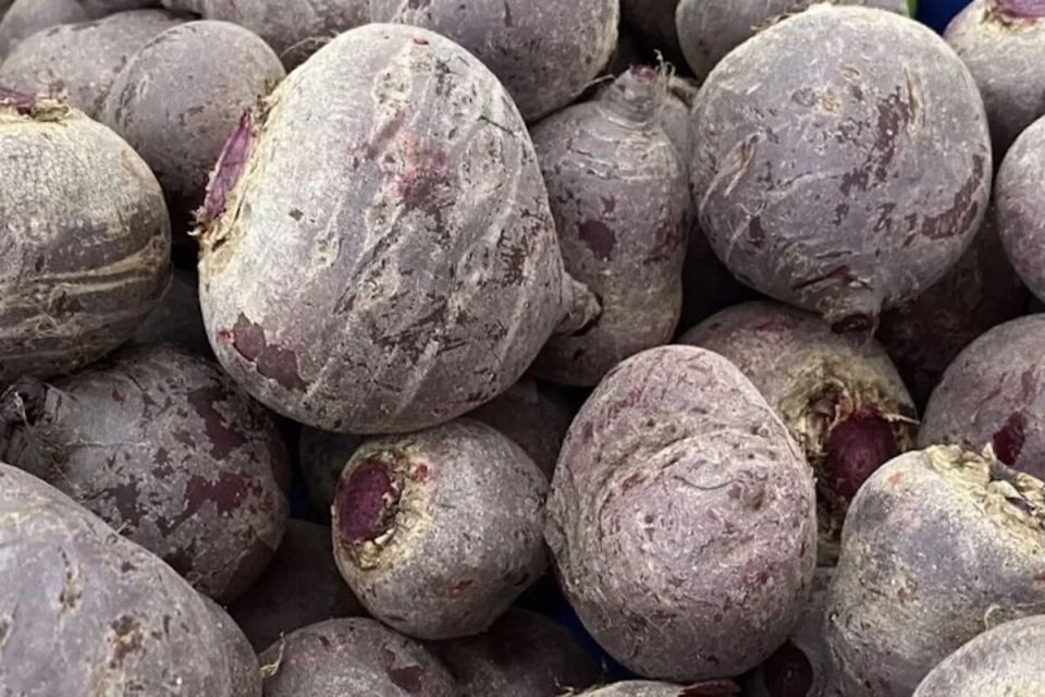 Осенние суперфуды: пять продуктов для здоровья и иммунитета