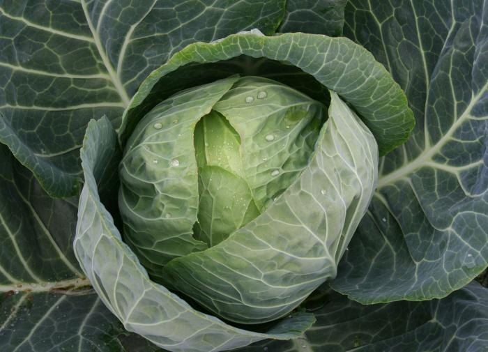 ��� �������� ������� ������ ������� � ������� ���������� ���������