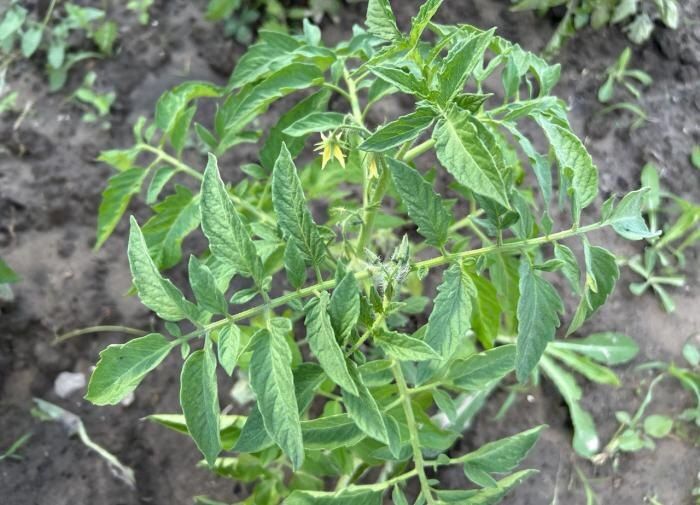 ������ ���������� ������ � ��� � ���� ����������