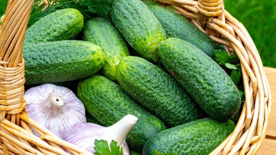 ��� ������ ������� ����������� �������: �� ������������ ����� �������� � ������ ������