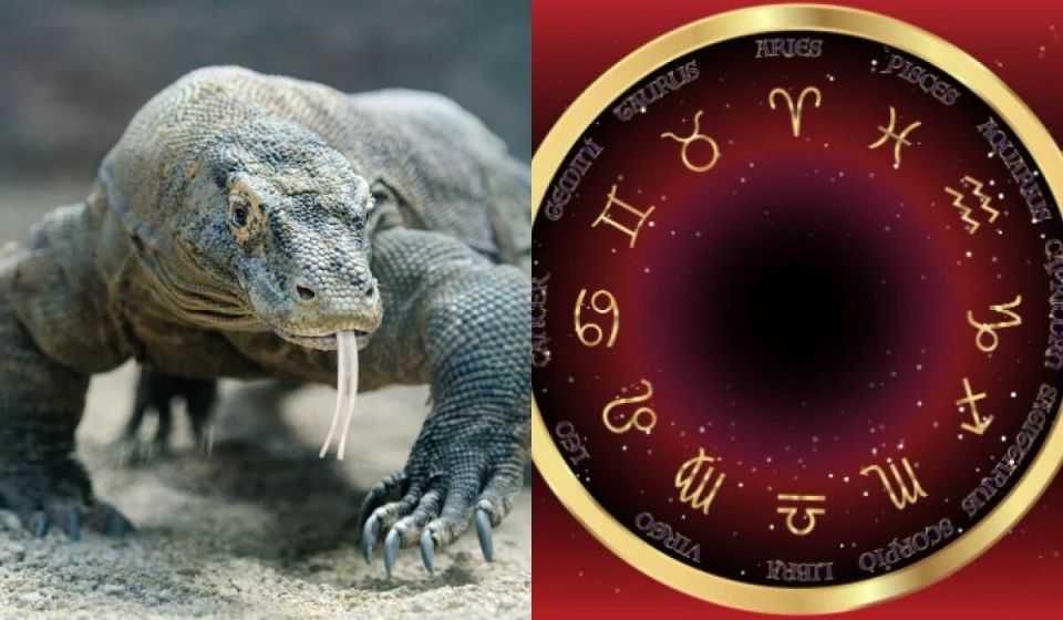 ���� ������� � �������: ����� �� ������� �� ����� �������