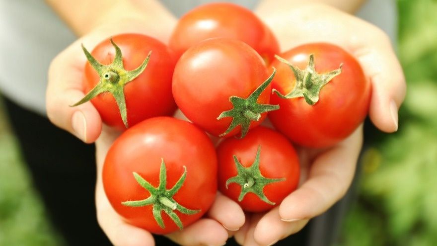 ��� ������ ������ ������� ��� ��������� ������ � ��� ����