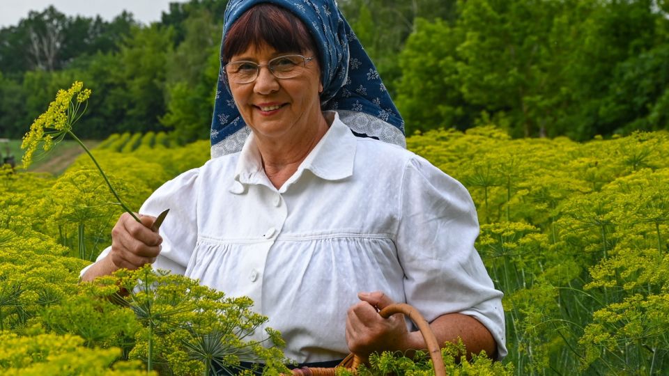 ������� ����� ������ ���: �������� �� ������� �������