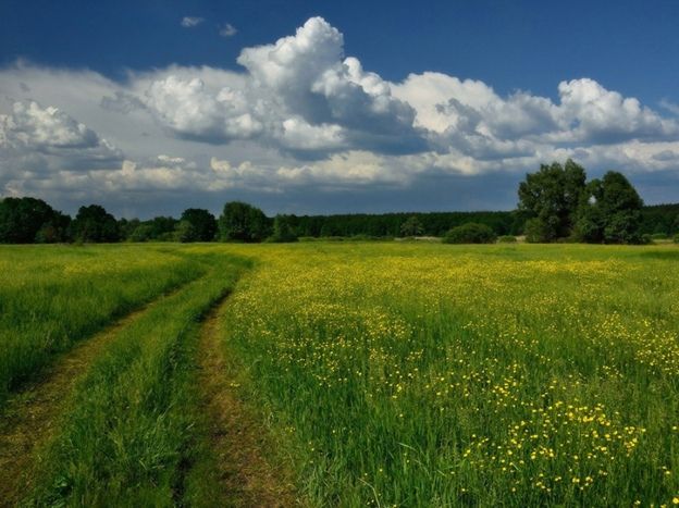 �����: ��� ��� �������� ����� � �������� �������