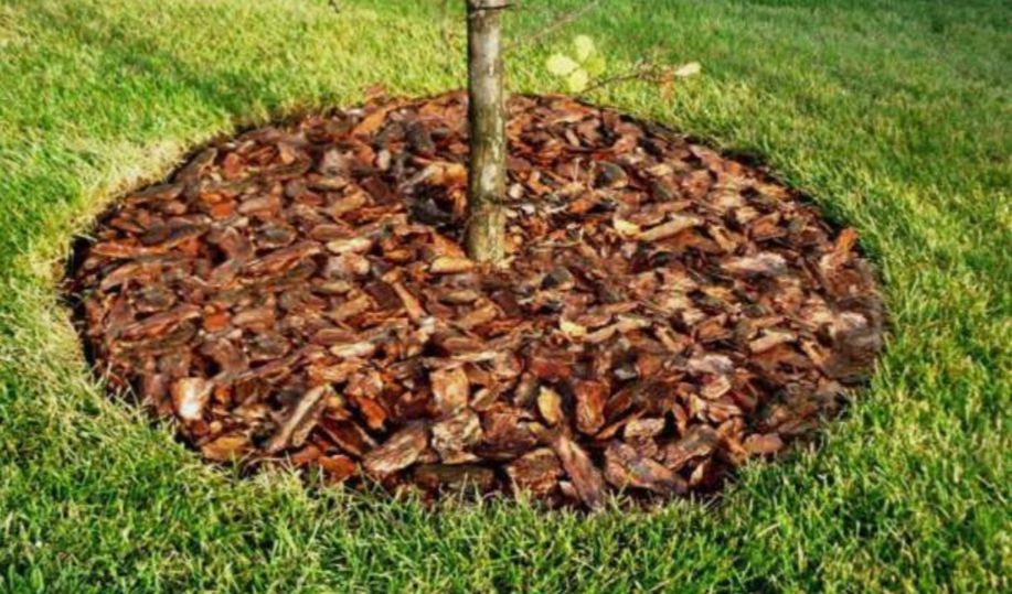 ��� ������� ����� ������: ������� ������ ��� ���������� ���������