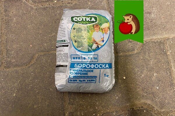 ������ ��������� � ��� ���� ��������� ������� ���������