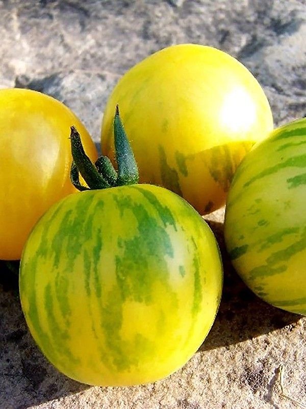 ������ � ����������: �������� ��� ���� ���������� ����� �� �����