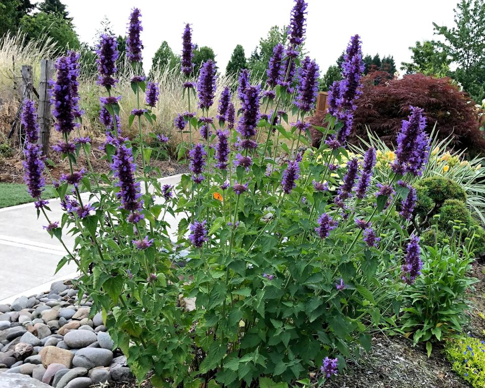 ������������, �������� � ������ ���: ��� �������� ���� ���