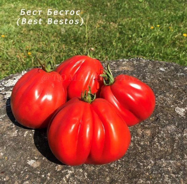 ����� ���� ������: ��� ��������� ��������� ��������� ��� ������ �������