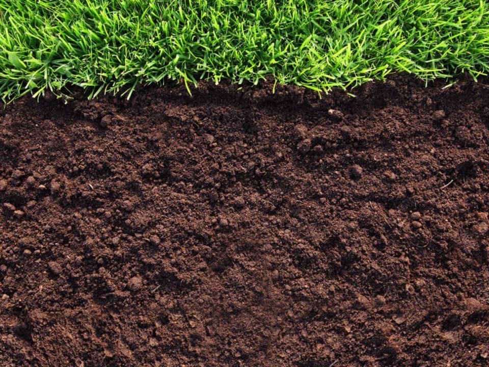 ��� ������������ ����� ������: ������� ��������� ������