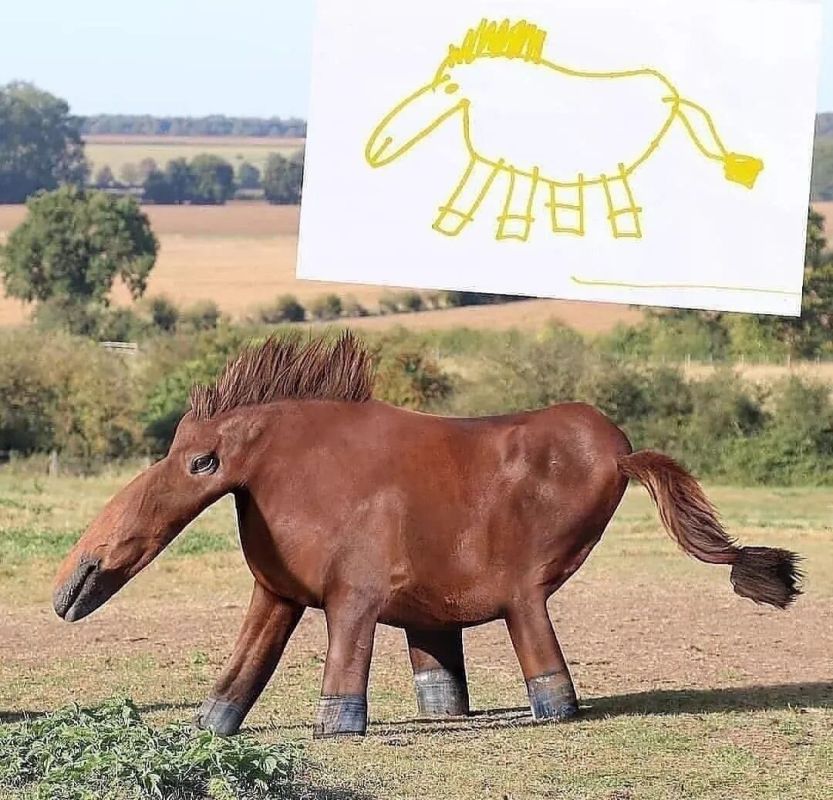 ��������� � ������� ����������: ������������ ���������� ������������