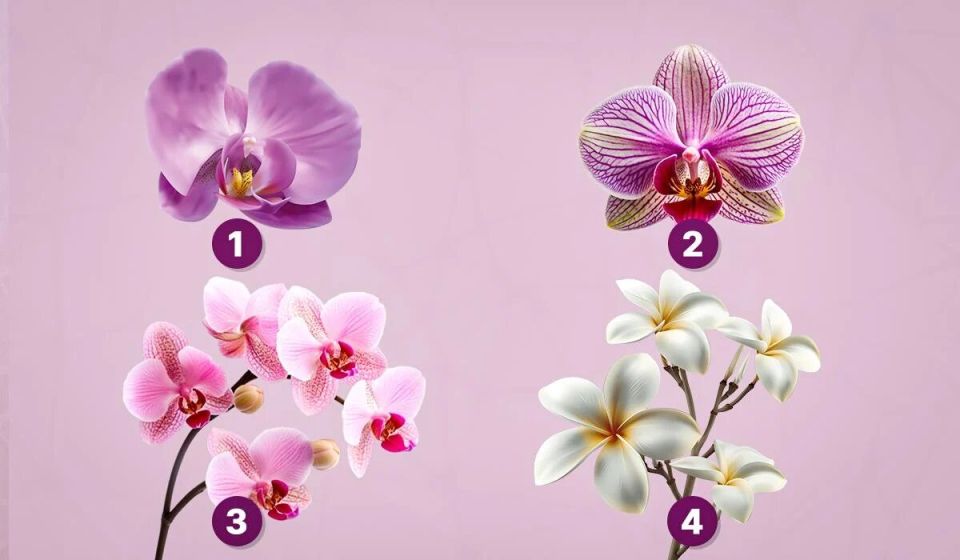 ������� ����� ������ ���������: �������� ������� � ������� ������ � ����!