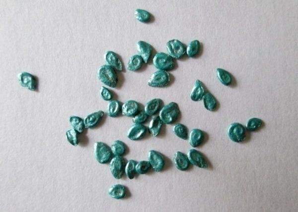 ����������� ������ ���������� ����� ������� ����� �������