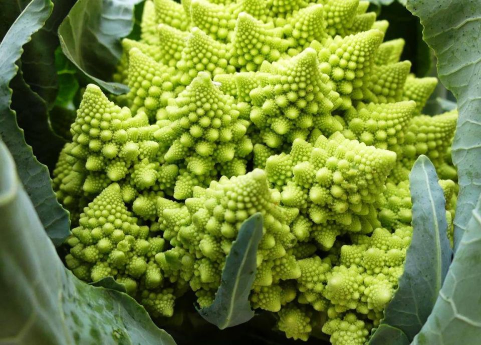 ������� ���������: ��������� ���� �� ������