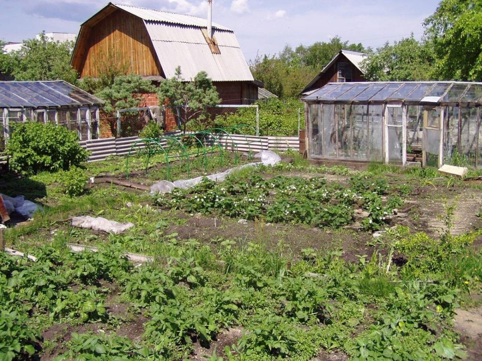 ����� ������� ��������������: ��� �������� ������ ��� ����� � ����