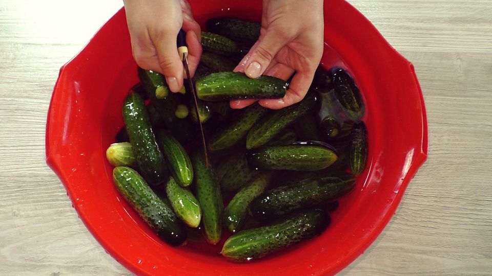 ������� ��������� ������������ �������: ��� ������� ������ ��������� �������� � ��������