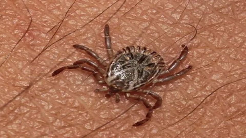 ��� ���������� �� ������: 7 ��������, ������� ��� �� ���������