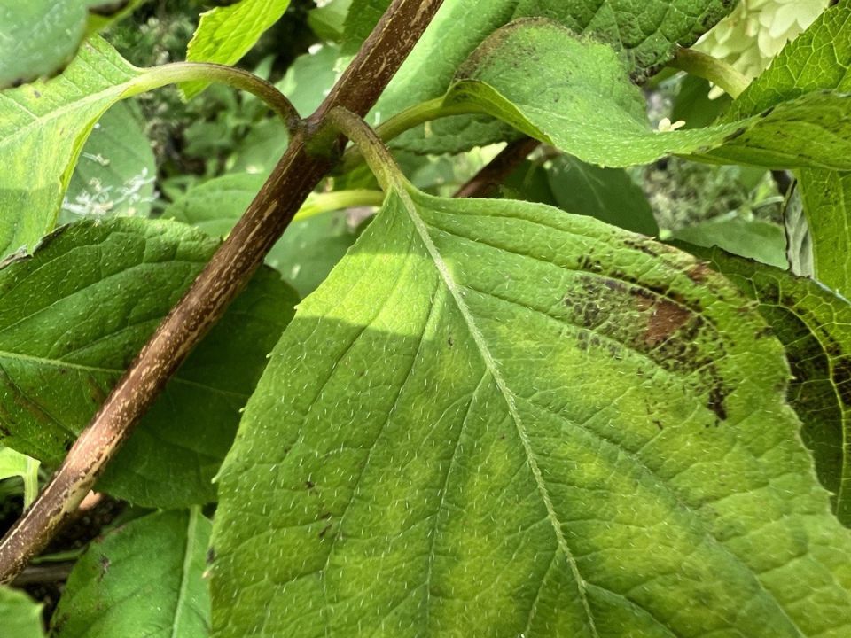 ������� ������� �� ���������� � ��� � ���� ������