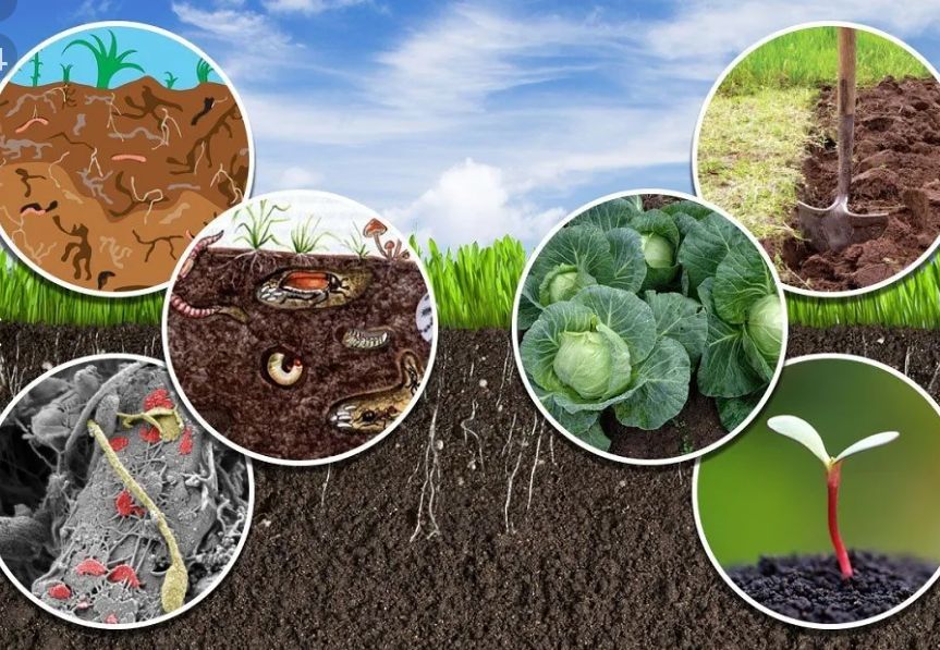 ��� �������� ������������������ ����� �� ����� �������