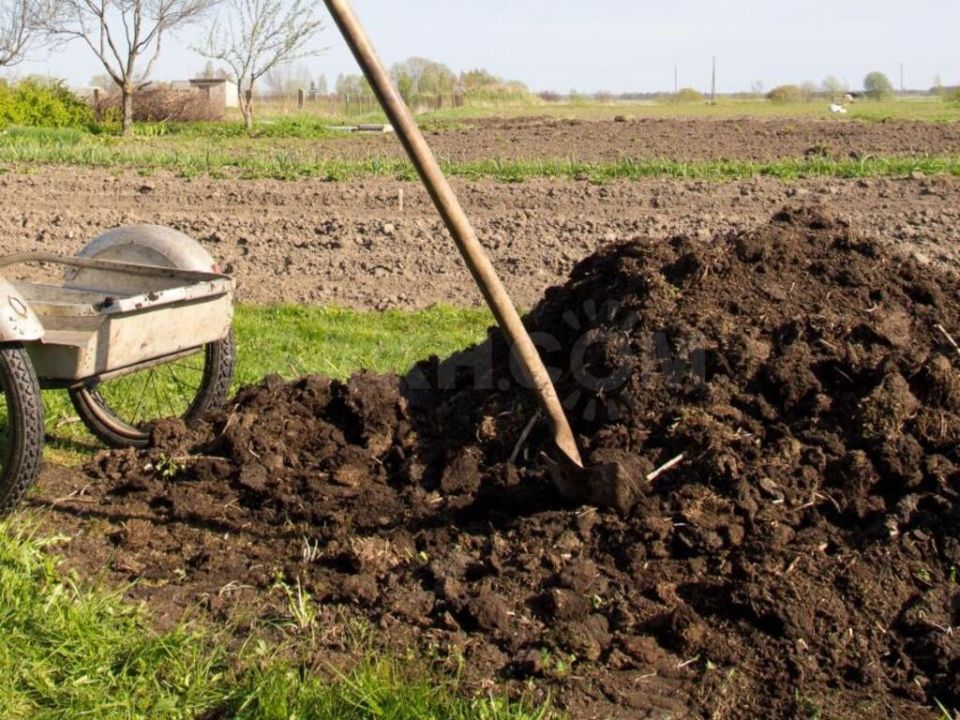 ����� ��� �������� ������� ������������� ����������