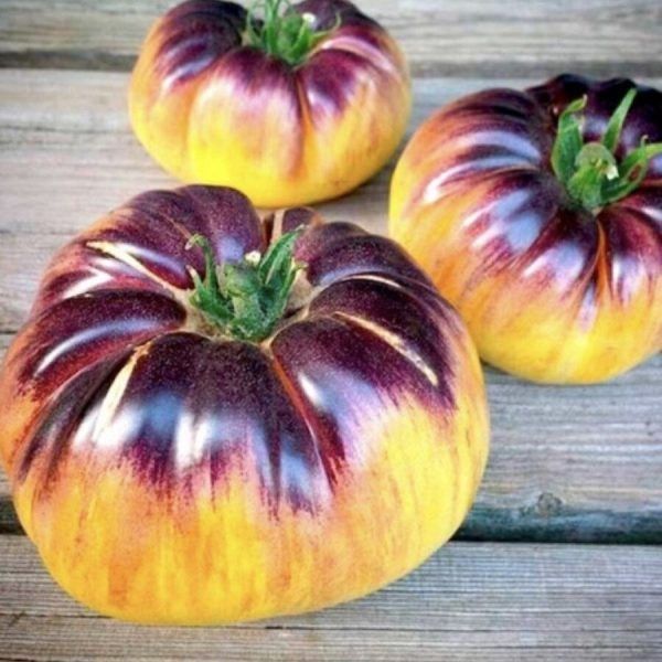 ����� ���� ������: ����������� ���� � ���������� ������ � ������� ������������