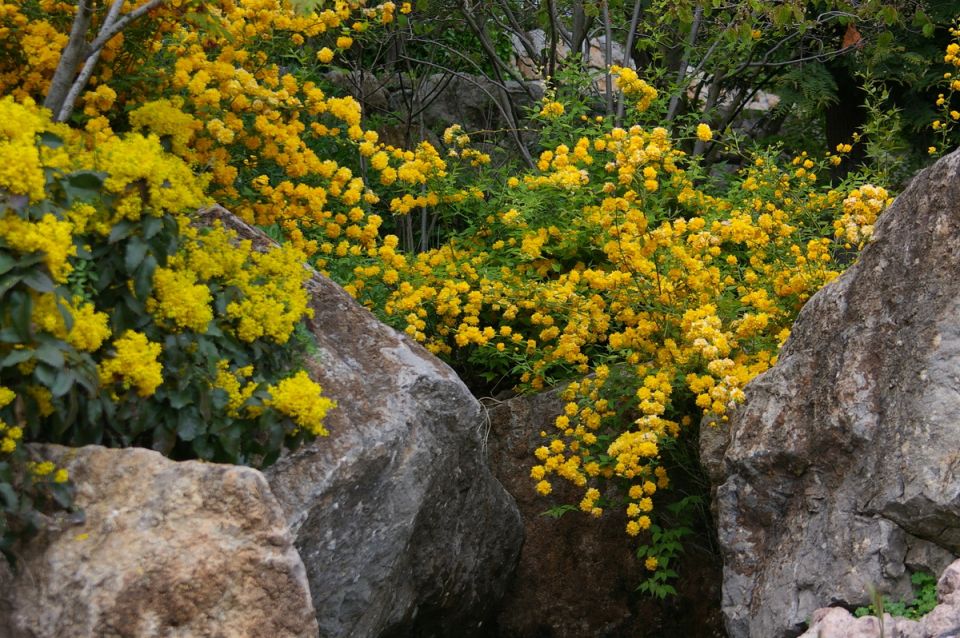 ������ ��������: ����������� ��� �����������