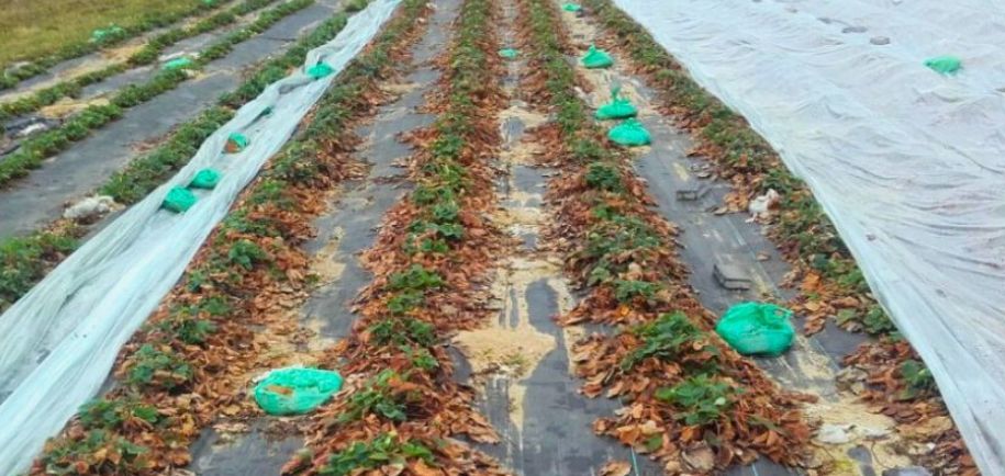 ��� ����������� ������� �������� ����� �������� � ��������� ������������