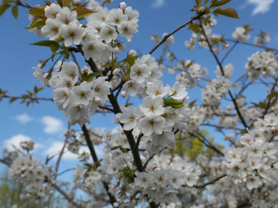 ��� ���������� �������� � ��������� ����� � ���������� ��������� ������