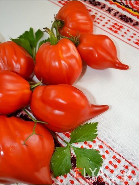 ����� ������: ���������� ���� � ������� �������������