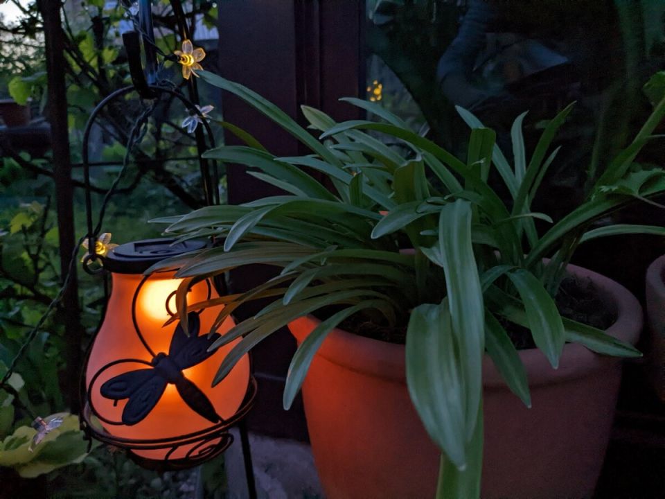 ��� ��������� ������ ������� ���������� � ����� ����