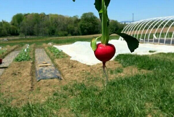 �������, �������� ����� �������: �������� ��������� ��� ��������� ������