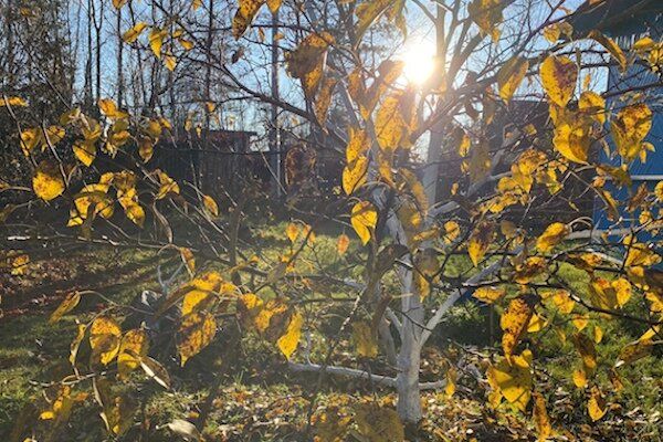 �����: ������� ������ � ����� �� ����� ��� ������������� ������