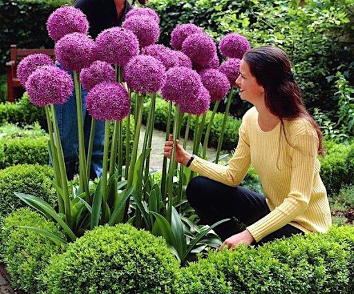 ��� ����� ���������� ���������� ����: ���������� ����� � ������