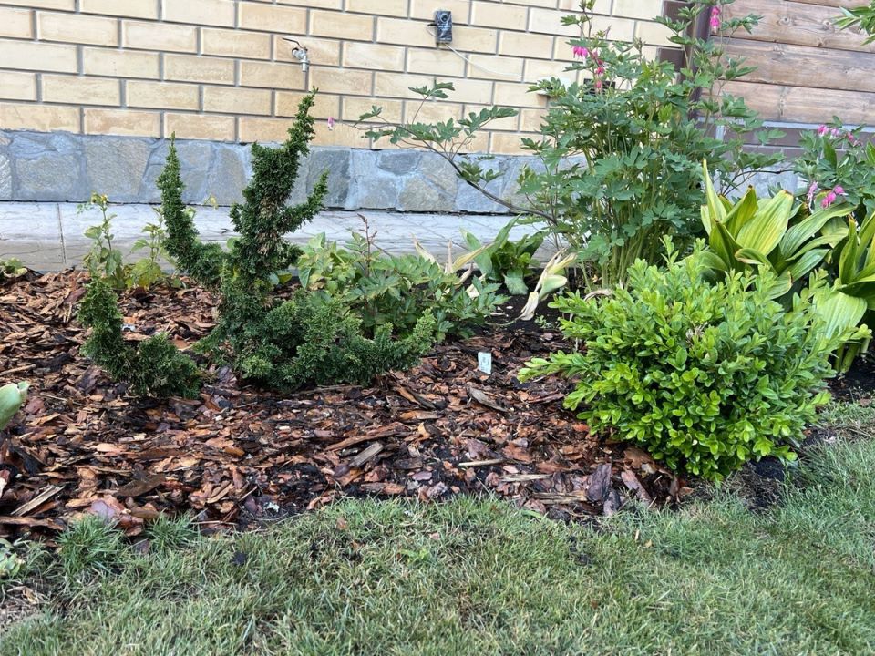 ��� � ����: ����� ������ � �� �����������