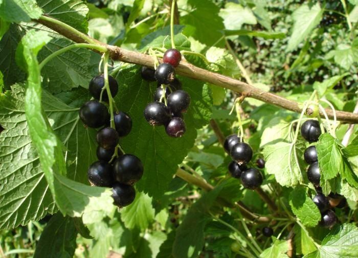 ��� ������� ��������� ������ ��������� ��� ������� ������