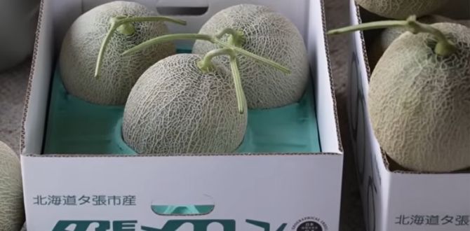 ������� ������ ������: ��������� ������������� �� ���������