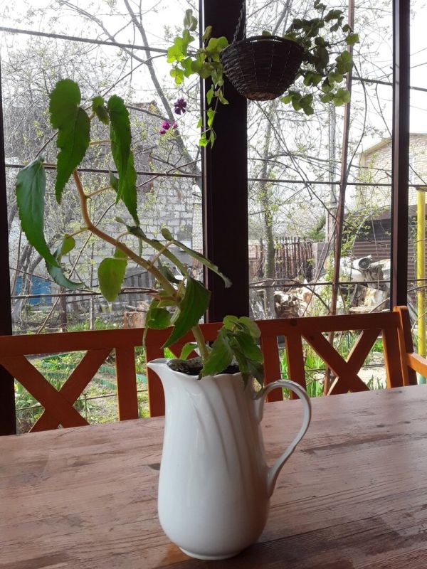 ��� ��������� ��������� ����� ������� ����������: ������� ������